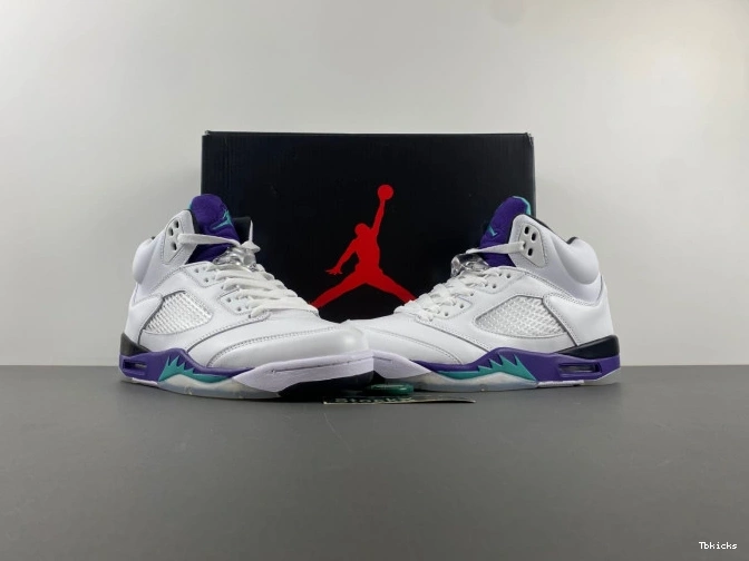 Cheap TBK Air 5 (2013) Retro Jordan Grape 136027-108 0731